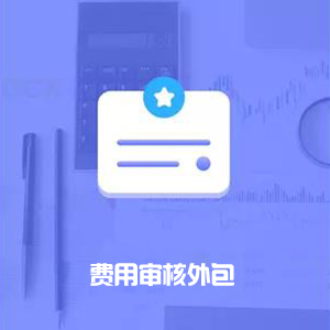费用审核外包