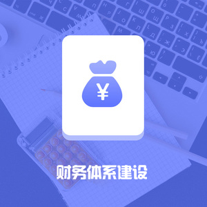 财务体系建设